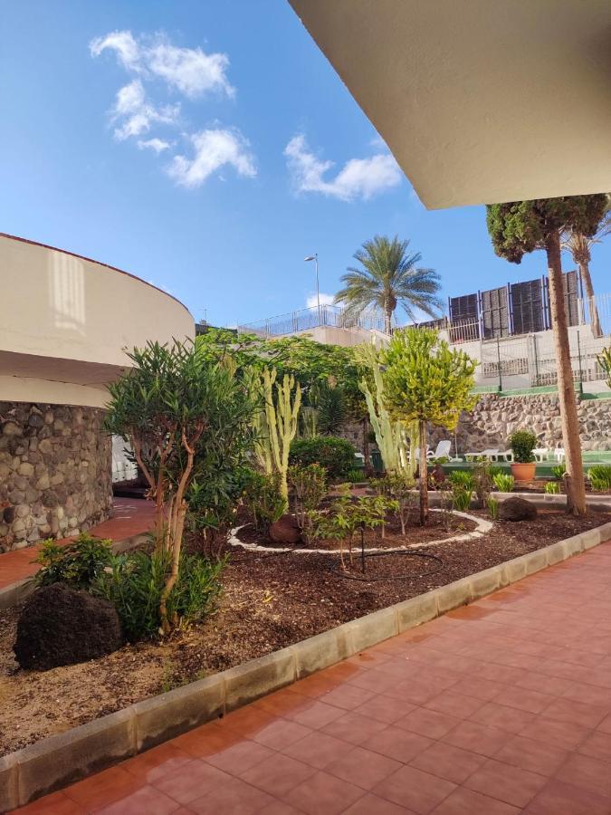 Guinea Nidive Apartment San Bartolome de Tirajana  Exterior photo